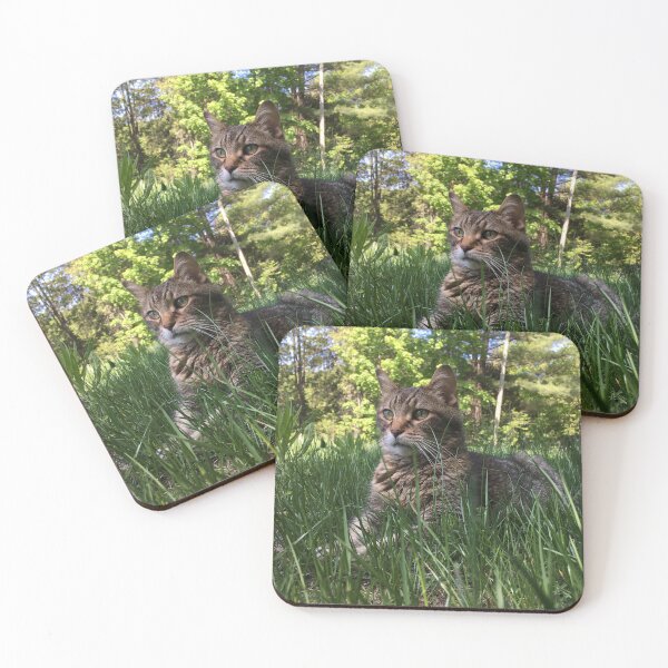 Item preview, Cat on the grass designed and sold by Topmel.