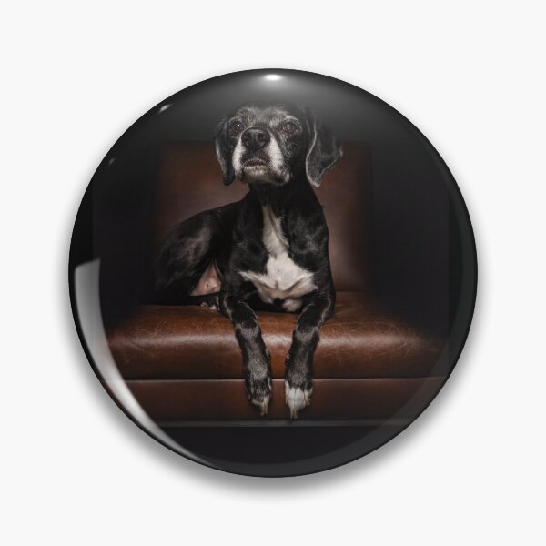 Item preview, An old black dog sits on the leather armchair impulsively designed and sold by PfotenGalerie.