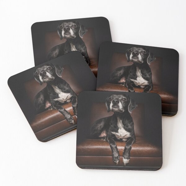 Item preview, An old black dog sits on the leather armchair impulsively designed and sold by PfotenGalerie.
