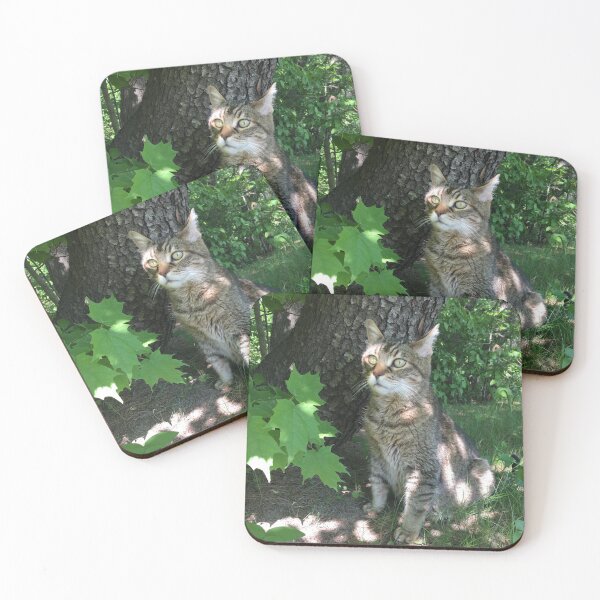 Item preview, Cat in nature designed and sold by Topmel.