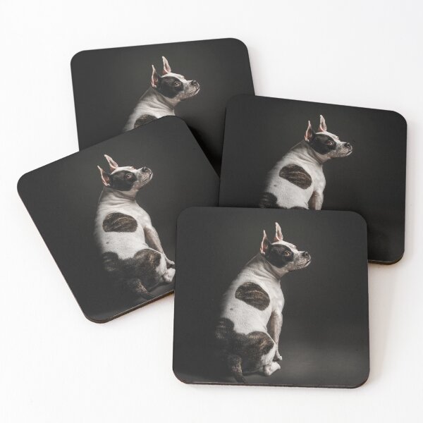 Item preview, A beautiful dog photo against a black background designed and sold by PfotenGalerie.