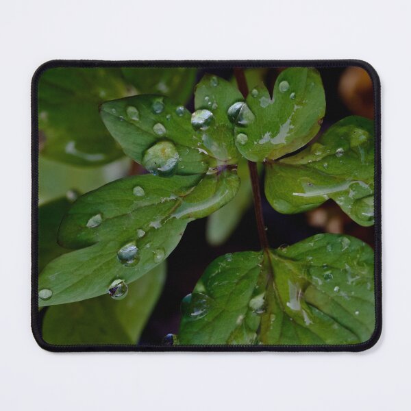 Item preview, Droplets on leaves designed and sold by Cblifeisgood.