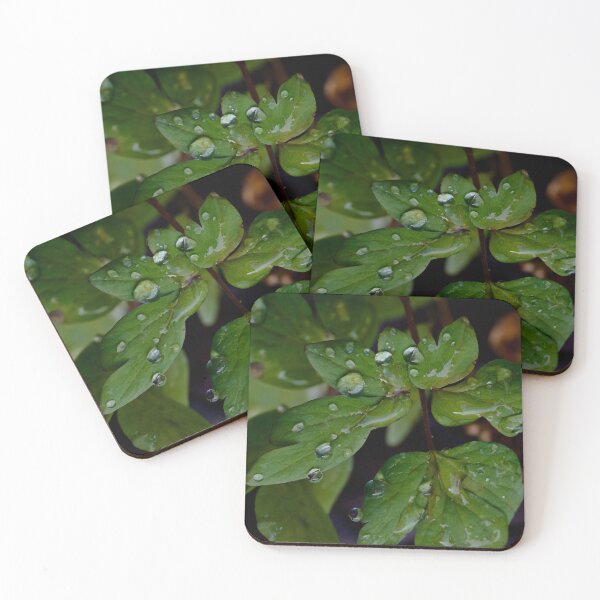 Item preview, Gotitas sobre hojas designed and sold by Cblifeisgood.