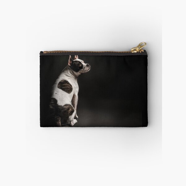 Item preview, A beautiful dog photo against a black background designed and sold by PfotenGalerie.
