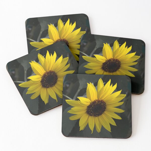 Item preview, Sunflower in sunlight  designed and sold by Cblifeisgood.