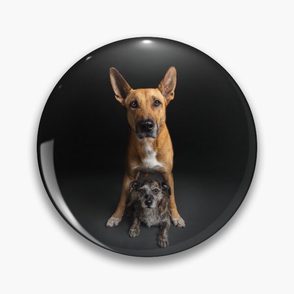 Item preview, Two dogs in front of a black background a dog friendship forever designed and sold by PfotenGalerie.