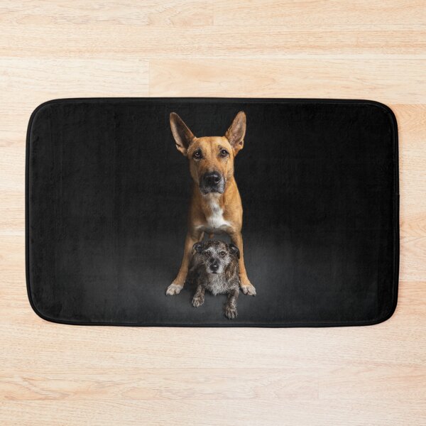 Item preview, Two dogs in front of a black background a dog friendship forever designed and sold by PfotenGalerie.