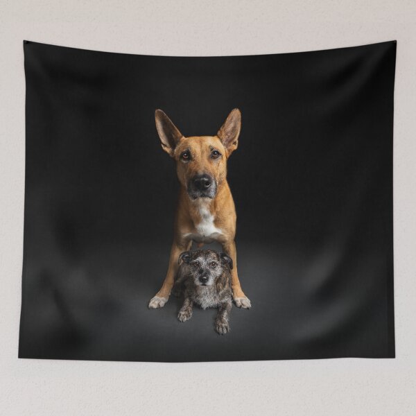 Item preview, Two dogs in front of a black background a dog friendship forever designed and sold by PfotenGalerie.