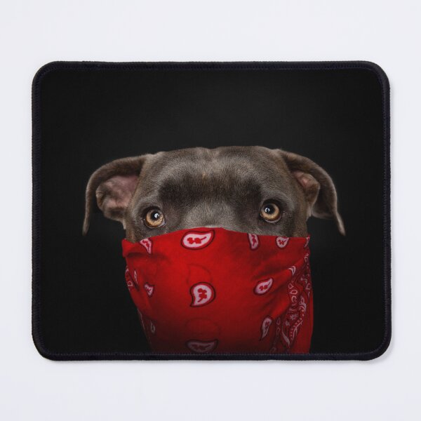 Item preview, Dog portrait as Gangsta Dog with red scarf designed and sold by PfotenGalerie.