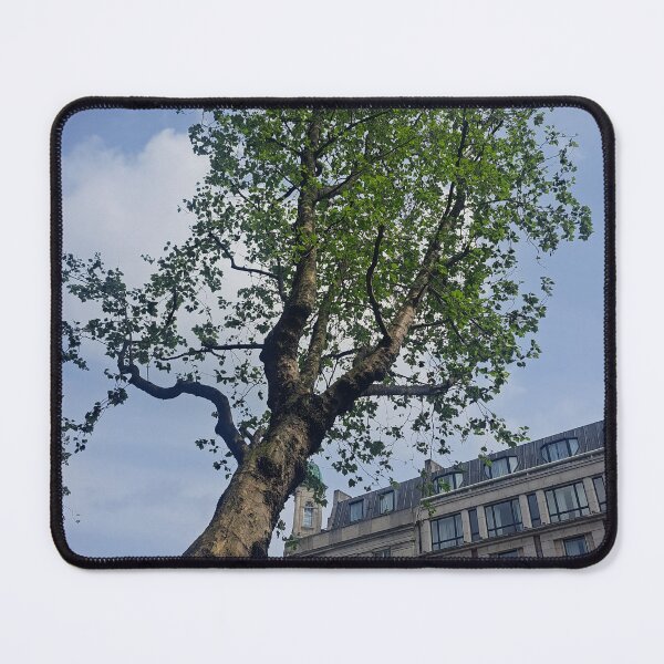 Item preview, Dublin City  designed and sold by Lettie Cronje-Steyn.