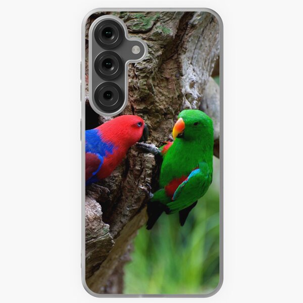 Item preview, Pair Of Eclectus At The Nest designed and sold by GP1746.