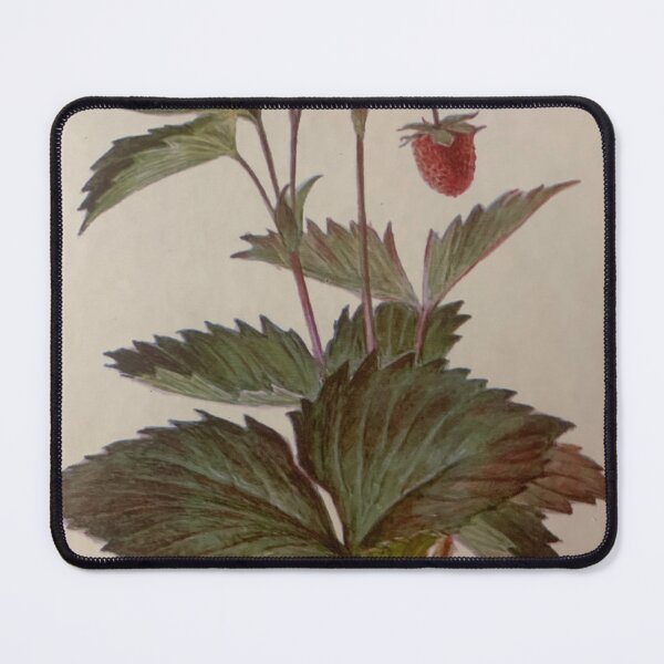 Item preview, Fragaria vesca L. STYLE. designed and sold by Valgasnews011.