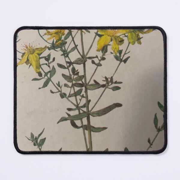 Item preview, hypericum style.  designed and sold by Valgasnews011.