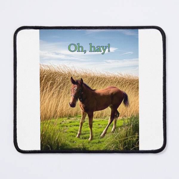 Item preview, Oh hay! designed and sold by AliciaSanson.
