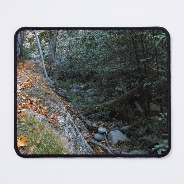 Item preview, Bear Canyon Campground designed and sold by supernova23.
