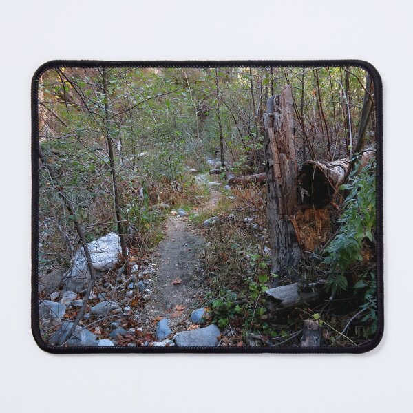Item preview, Bear Canyon Campground designed and sold by supernova23.