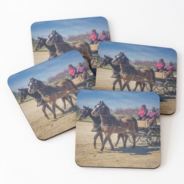 Item preview, Draft Horse Driving Lesson - Kentucky Horse Park designed and sold by TonyCrehan.
