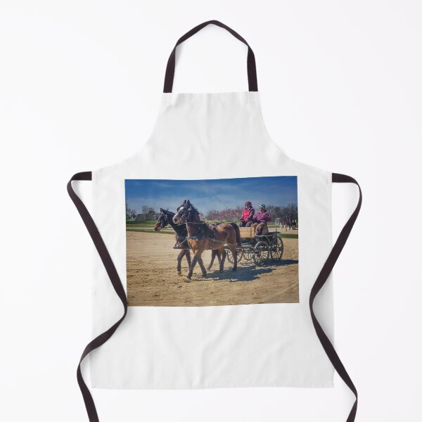Item preview, Draft Horse Driving Lesson - Kentucky Horse Park designed and sold by TonyCrehan.