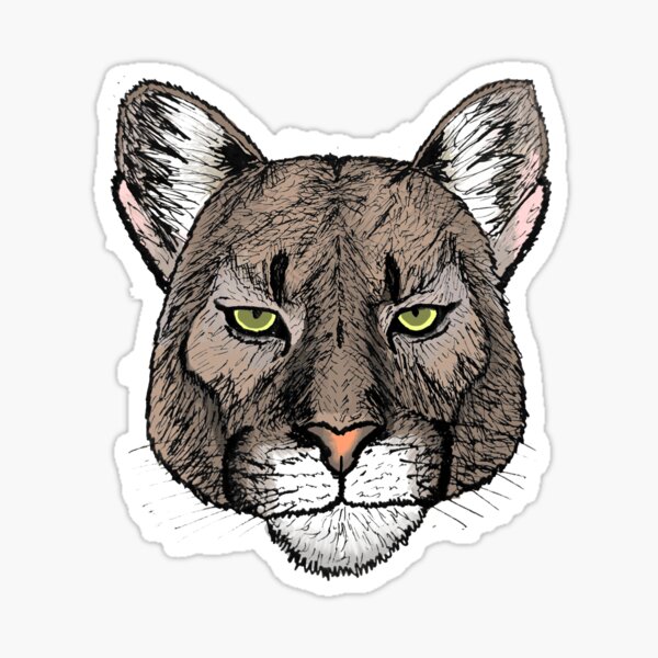 Vista previa del artículo con la obra «Puma ilustrado», diseñado y vendido por BlackLucario012.