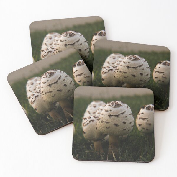 Item preview, Mushrooms growing in the grass designed and sold by Eve Aguera.