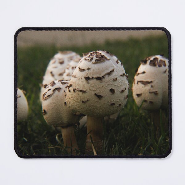Item preview, Mushrooms growing in the grass designed and sold by Eve Aguera.