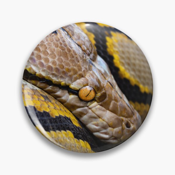 Item preview, Watchful eye of the hunter designed and sold by TheReptileGuy.