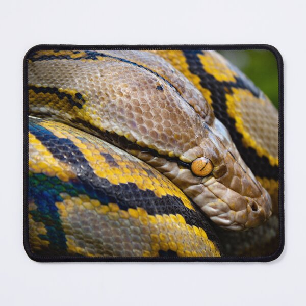 Item preview, Watchful eye of the hunter designed and sold by TheReptileGuy.