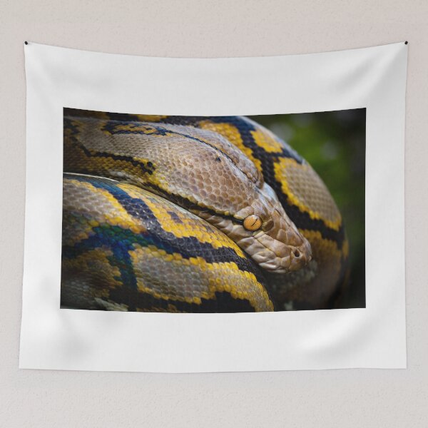 Item preview, Watchful eye of the hunter designed and sold by TheReptileGuy.
