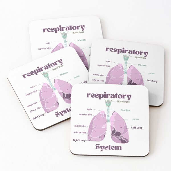 Item preview, Respiratory System ! designed and sold by DentalStudentGR.