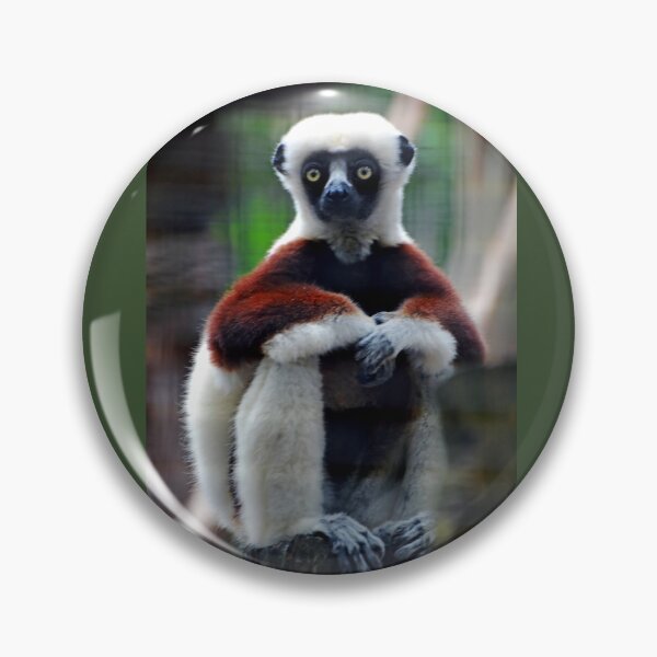 Item preview, Sifaka designed and sold by Savannah Gibbs.