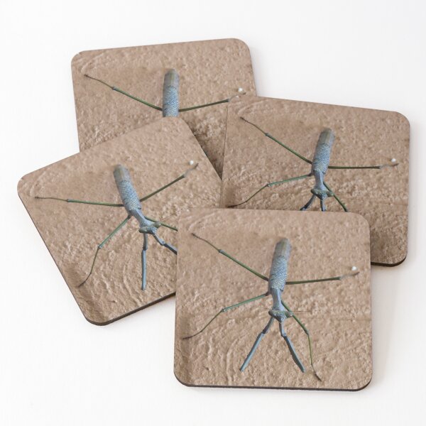 Item preview, stick insect up close designed and sold by Mark Grimsley.