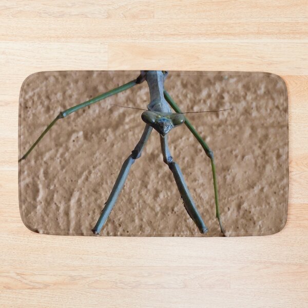 Item preview, stick insect up close designed and sold by Mark Grimsley.