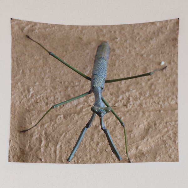 Item preview, stick insect up close designed and sold by Mark Grimsley.
