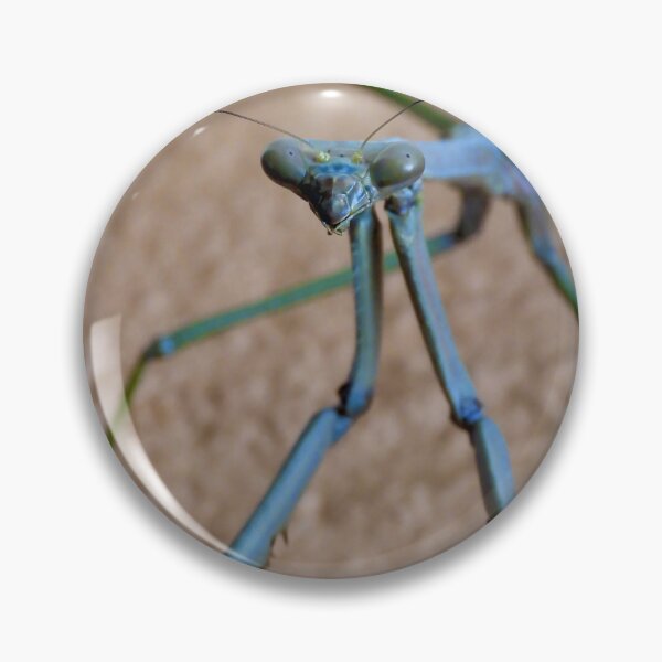 Item preview, stick insect face time designed and sold by Mark Grimsley.