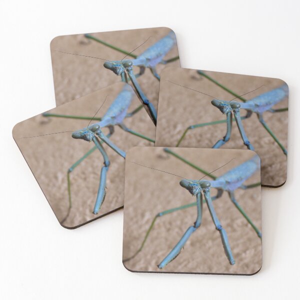 Item preview, stick insect face time designed and sold by Mark Grimsley.