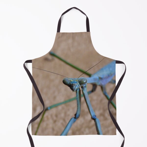 Item preview, stick insect face time designed and sold by Mark Grimsley.