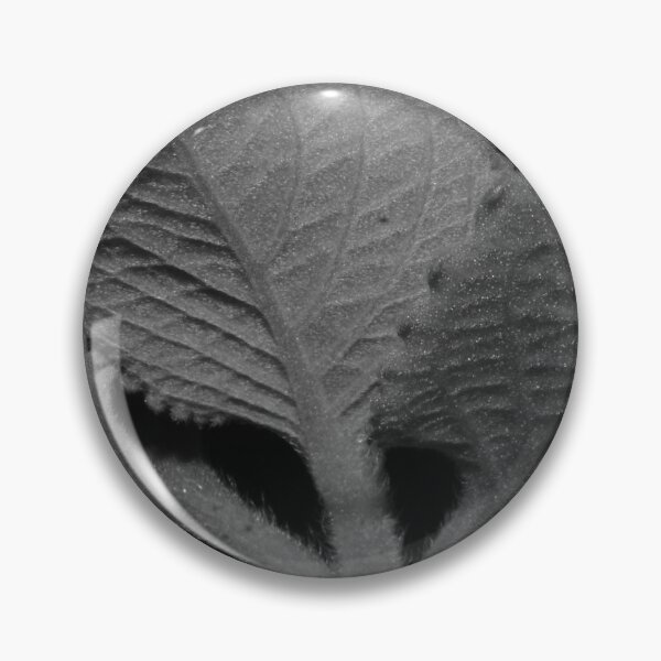 Item preview, Oregano designed and sold by ROSE ANN BANILAR.