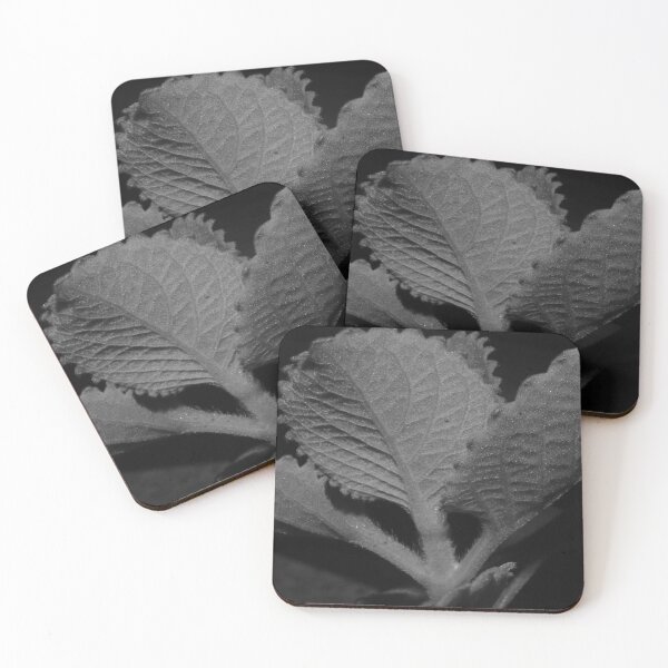 Item preview, Oregano designed and sold by ROSE ANN BANILAR.