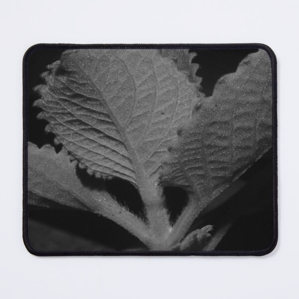 Item preview, Oregano designed and sold by ROSE ANN BANILAR.