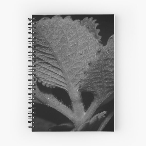 Item preview, Oregano designed and sold by ROSE ANN BANILAR.