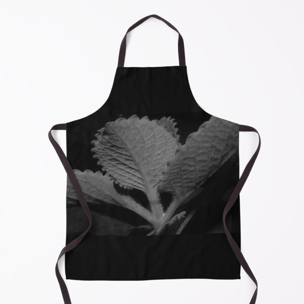 Item preview, Oregano designed and sold by ROSE ANN BANILAR.