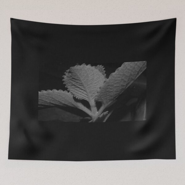 Item preview, Oregano designed and sold by ROSE ANN BANILAR.