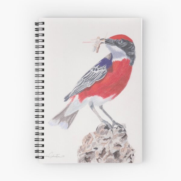 Item preview, Red breasted Chat with dragonfly designed and sold by Sandra Johnston.