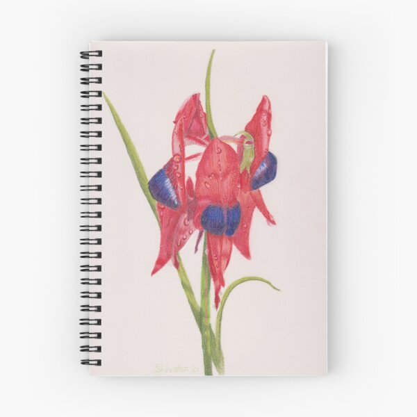 Item preview, Sturt Pea designed and sold by Sandra Johnston.