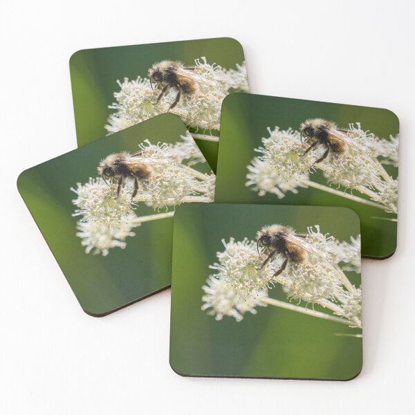 Item preview, Alone. Field Cuckoo-bee designed and sold by Jouko Lehto Photography.