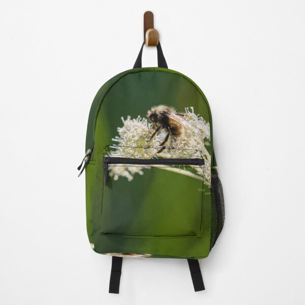 Item preview, Alone. Field Cuckoo-bee designed and sold by Jouko Lehto Photography.
