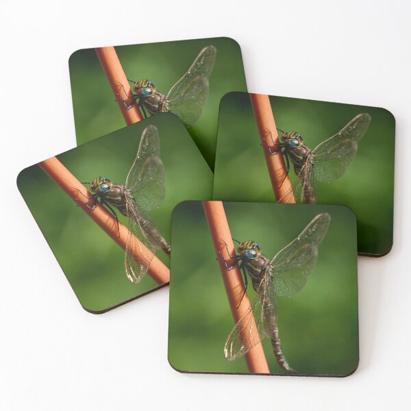 Item preview, Brown hawker designed and sold by Jouko Lehto Photography.