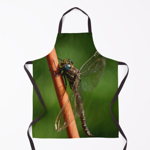 Item preview, Brown hawker designed and sold by Jouko Lehto Photography.