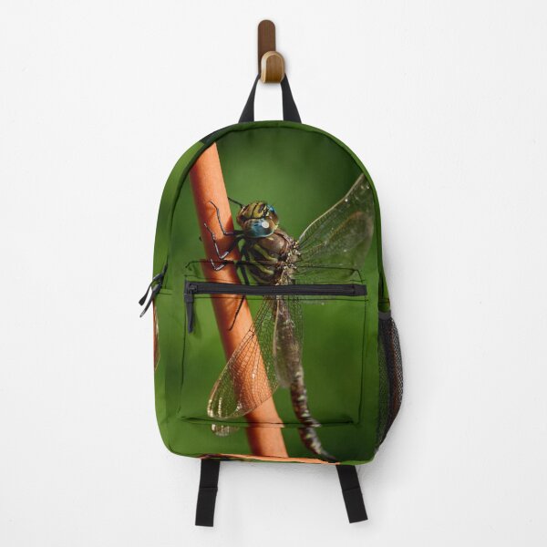 Item preview, Brown hawker designed and sold by Jouko Lehto Photography.