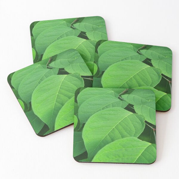 Item preview, Leafs designed and sold by Rainbowland123.